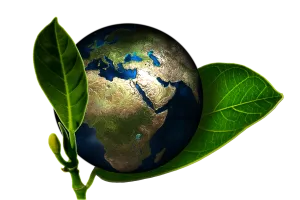 perspectiva de ciclo de vida