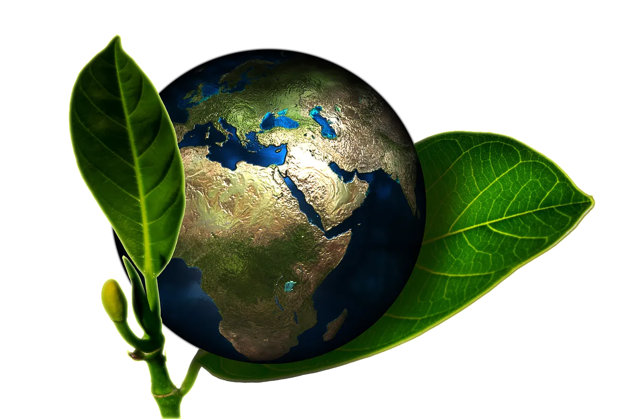 perspectiva de ciclo de vida