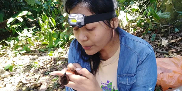 mercurio de minería afecta aves de la selva