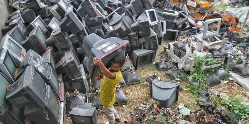 gestion y manejo de raees