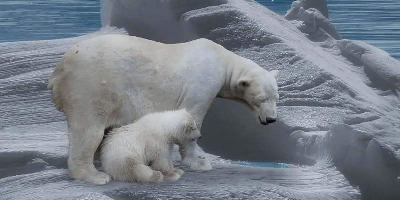 derretimiento de glaciares